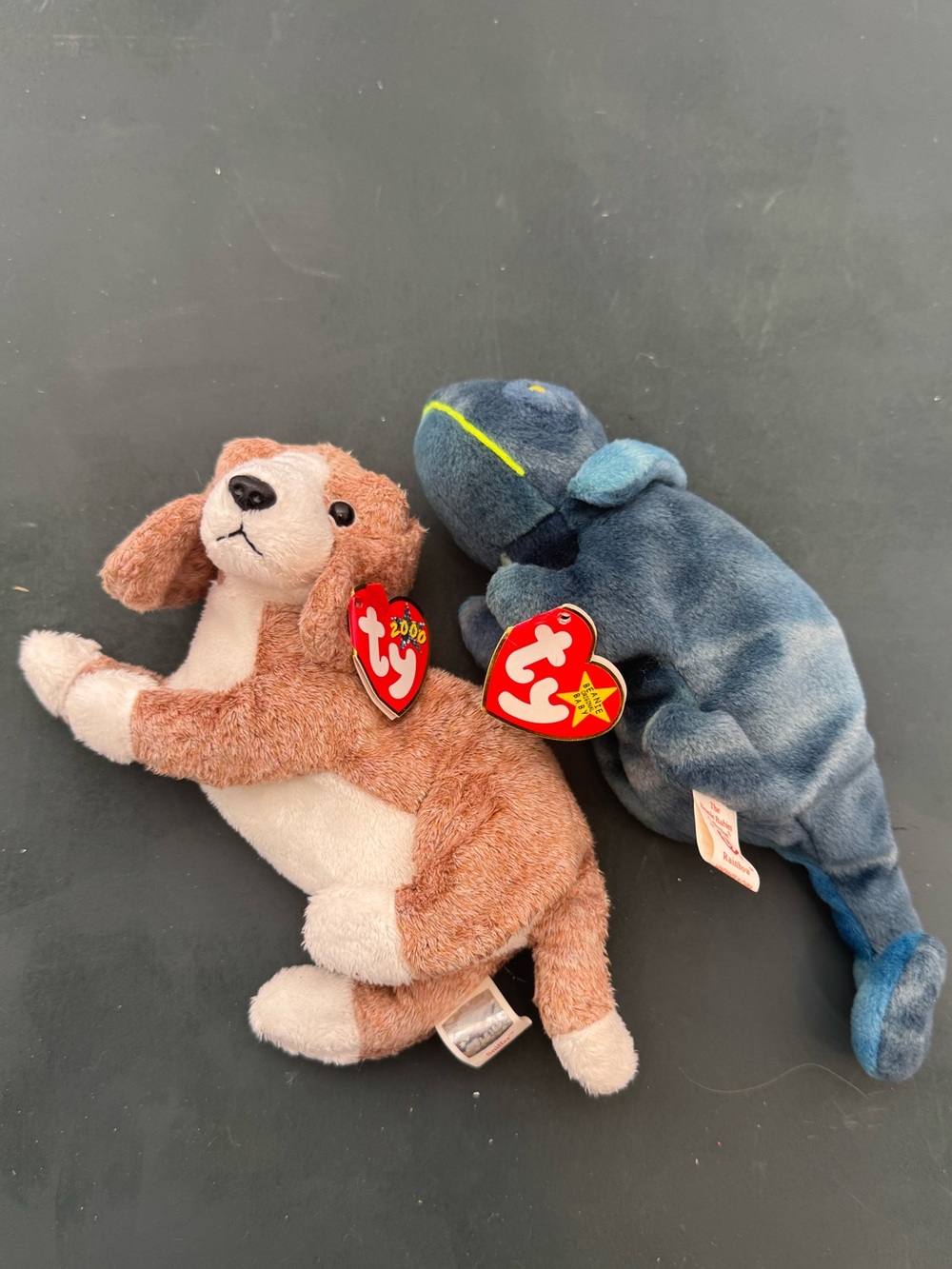 New With Tags TY Beanie Boos - Rainbow Chameleon and Sniffer Dog